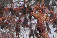 tour-kankow-maekai-wat-chantaram-ang-thong