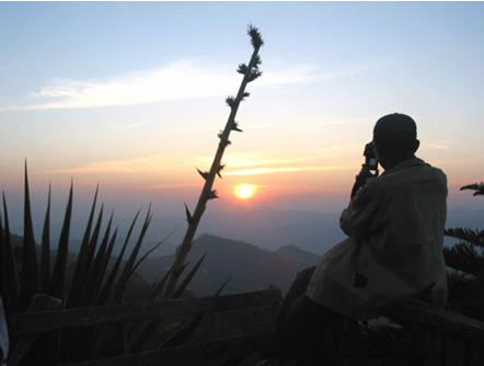 tour doi chang wawee chiang rai