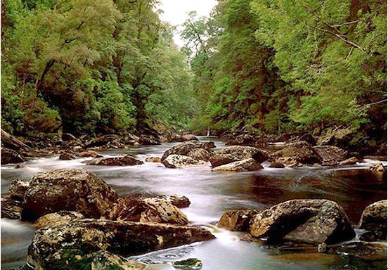 tour doi luang national park chiang rai 2