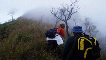 tour doi luang national park chiang rai