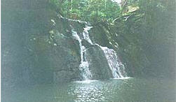 tour huai sai waterfall chiang rai
