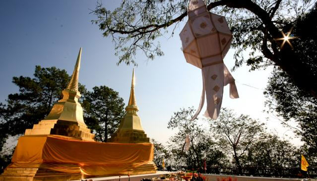 tour phra that doi tung chiang rai 3