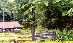 tour pong pha bat forest park chiang rai