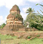 tour wat arti ton kaew chiang rai