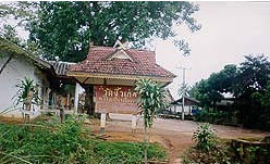 tour wat ngew khao chiang rai