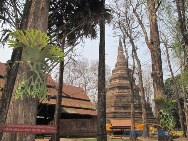 tour wat phra that chedi luang chiang rai 6