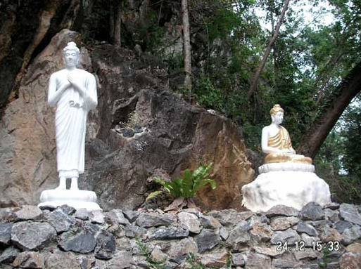 tour wat phra that doi kong khaw chiang rai 2