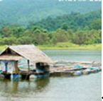 tour wong reservoirs chiang rai