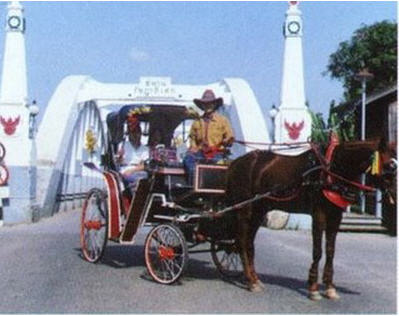 city tour carriage