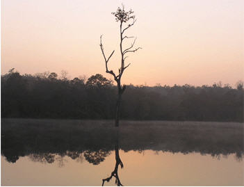 doi jong nationalpark lampang