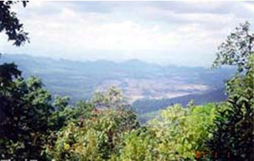 doi pha klan screnery site