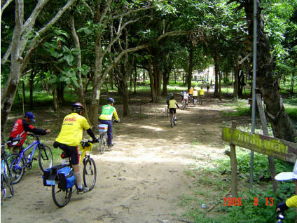 ทัวร์ บ้านทาป่าเปา จังหวัดลำพูน ban-ta-par-pao