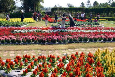 ทัวร์ บริษัท ที เอส เอ จำกัด เลย tour-tsa-co-ltd-loei