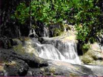 tour-namtok-wang-kan-luang-arboretum-lop-buri