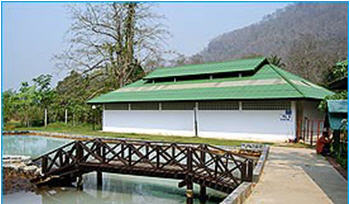 tour hot spring pha bong mae hong son 2