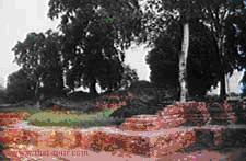 tour-wat-phra-maerue-nakhon-pathom