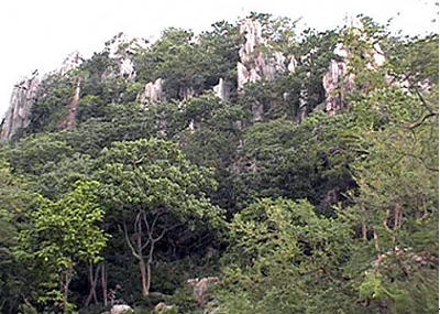 ทัวร์ เขาพระเจดีย์ ตาก tour khao pra ja dee nakhon sawan