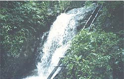 tour champa thong waterfall phayao