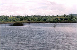 tour haui kaew reservoir phayao