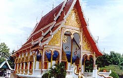 tour wat dong suwan phayao