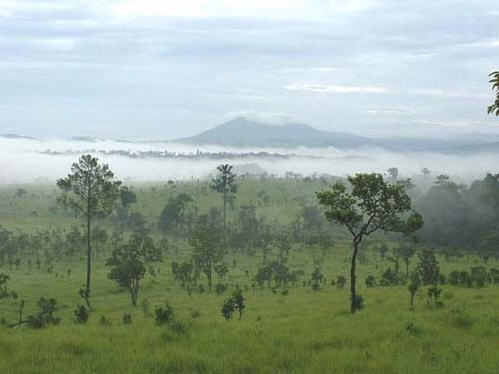 tour tung salang luang national park phetchabun