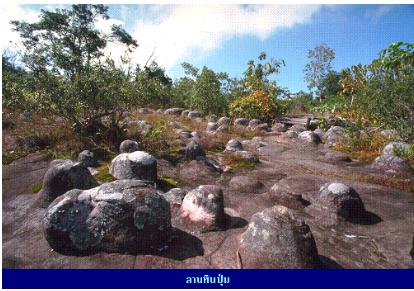 ทัวร์ ลานหินปุ่ม จังหวัดเพชรบูรณ์ tour-lan-hin-pum-phetchabun