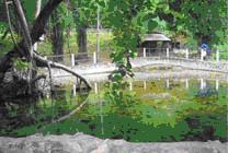 tour-ya-plong-hot-spring-phetchaburi