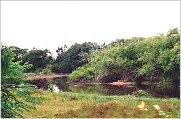 ทัวร์ วนอุทยานนครไชยบวร จังหวัดพิจิตร tour-nakhorn-chai-baworn-park-phichit