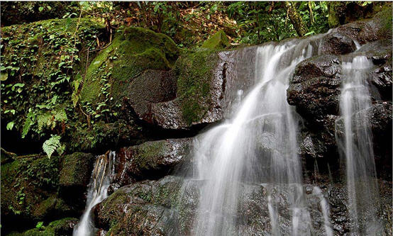 tour sai thip waterfall phitsanulok