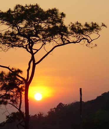 tour-phu-soi-dao-phitsanulok