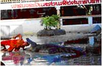 tour crocodile farm and samut prakan zoo samut prakan