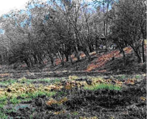 cool-burma-camp-sing-buri