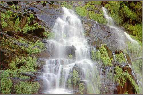 ทัวร์ น้ำตกสายรุ้ง จังหวัดสุโขทัย sai rung waterfall sukhothai