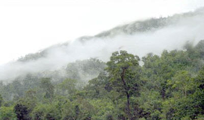 ทัวร์ อุทยานแห่งชาติคลองวังเจ้า tour-klong-wang-chao-national-park-tak