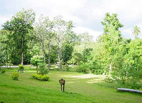 tour-lan-sang-national-park-tak