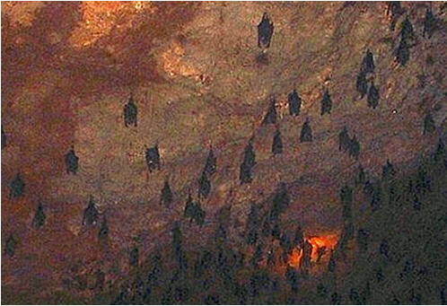 tour-mae-ka-sa-hotspring-tak