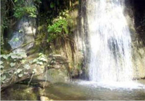 ทัวร์ น้ำตกแม่กาษา ตาก tour-mae-ka-sa-waterfall-tak