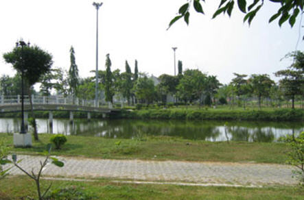 tour-mani-banpot-swamp-tak