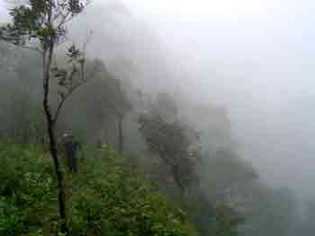 ทัวร์ อุทยานแห่งชาติขุนพะวอ จังหวัดตาก tour-khongpawor-park-tak