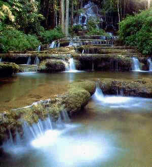 ทัวร์ น้ำตกพาเจริญ จังหวัดตาก tour-pajaroen-waterfall-tak