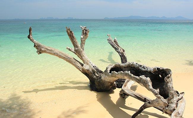 tour koh kra dan trang 3