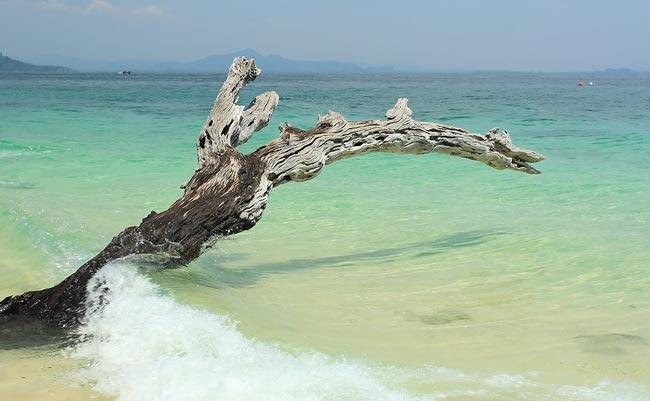 tour koh kra dan trang 6