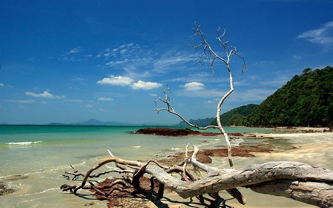 tour koh libong trang