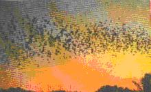 tour-kao-kong-chai-cave-uthai-thani