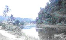 ทัวร์ บึงละหาร ยะลา tour-bung-la-han-yala