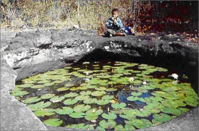 tour-phusadokbua-park-amnat-charoen-2