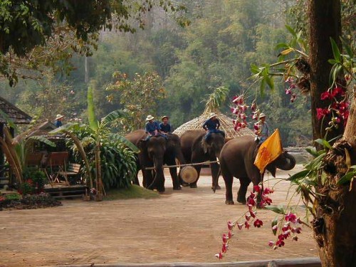 tour-thai-elephant-conservation-center-lampang