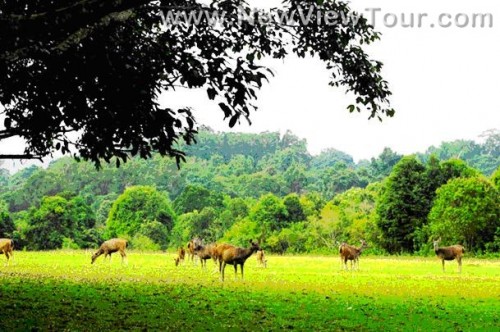 tour-uttanyan-khaoyai-korat