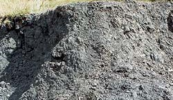 tour-din-dum-narathiwat