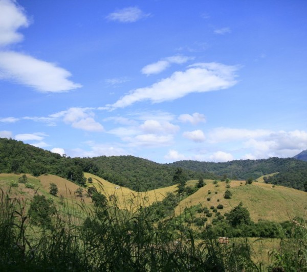 tour-phu-langka-nationa-park-phayao